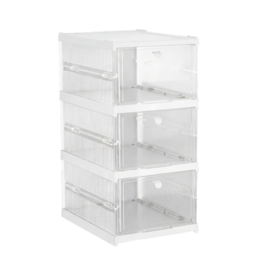 The Shoe Organizer