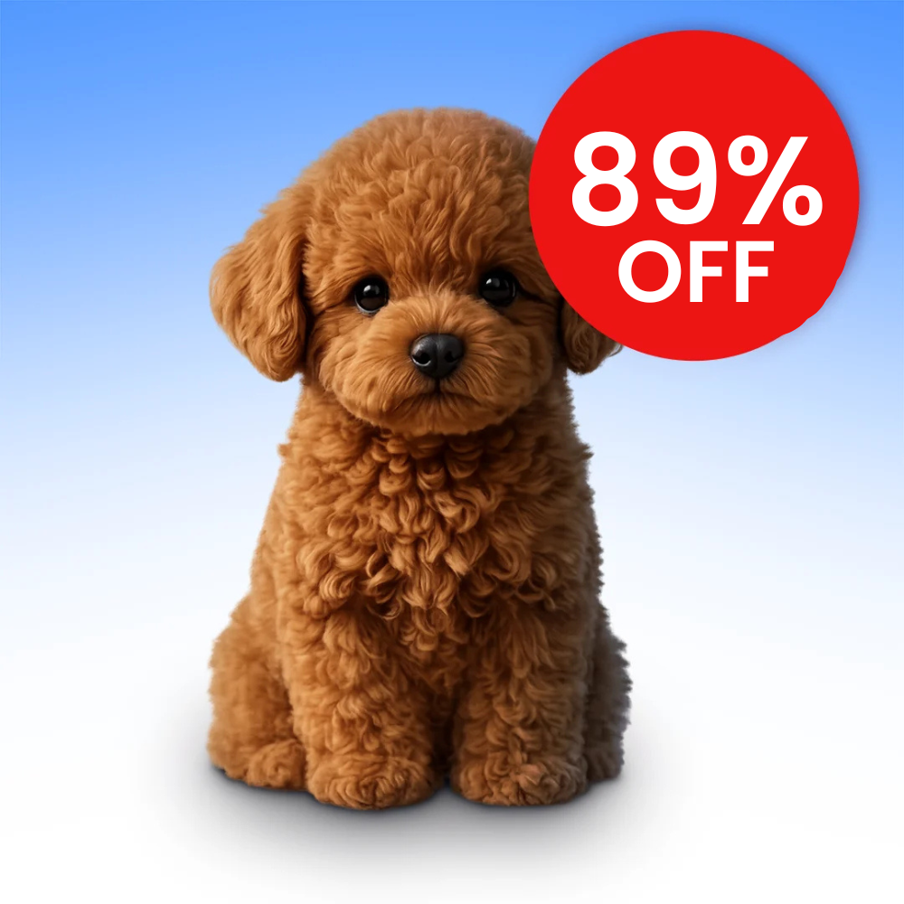 Special Offer Live Now!