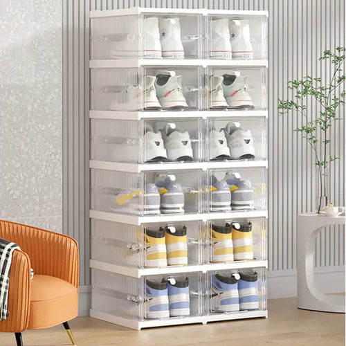 The Shoe Organizer