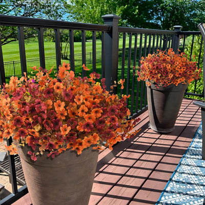 Hallo Flowers