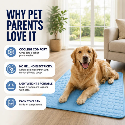 CoolPaw - Pet Paw Cooling Mat
