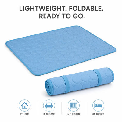 CoolPaw - Pet Paw Cooling Mat