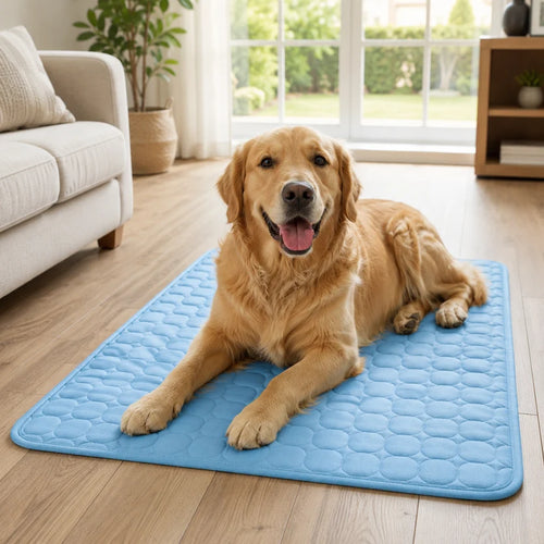 CoolPaw - Pet Paw Cooling Mat