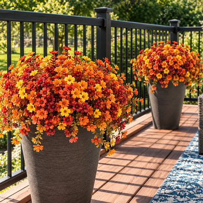 Fall Flowers