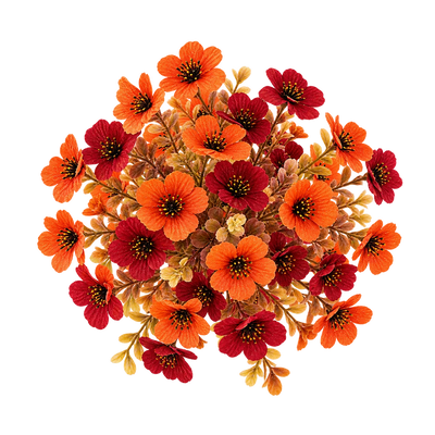 Fall Flowers
