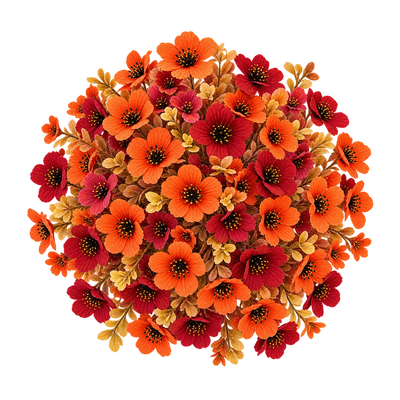 Fall Flowers