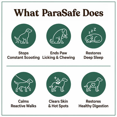 ParaSafe -  Dog Parasite Cleansing Drops