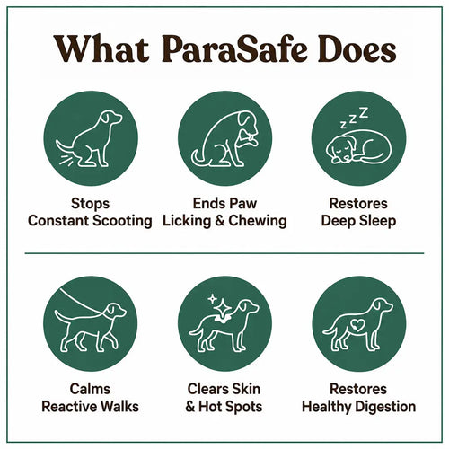 ParaSafe -  Dog Parasite Cleansing Drops