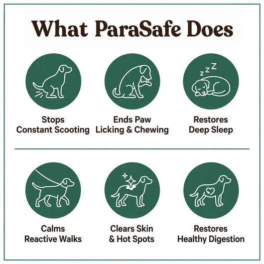 ParaSafe -  Dog Parasite Cleansing Drops