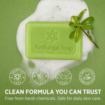 Tea Tree Oil Soap V2