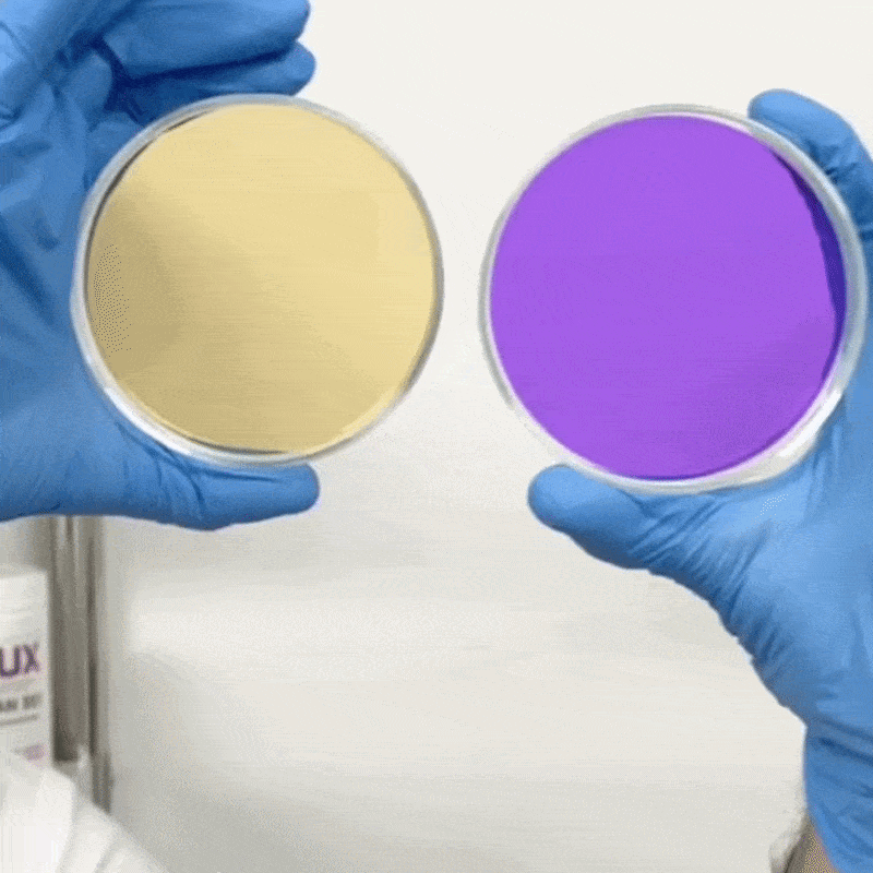 V36 Teeth Color Corrector – VARO USA